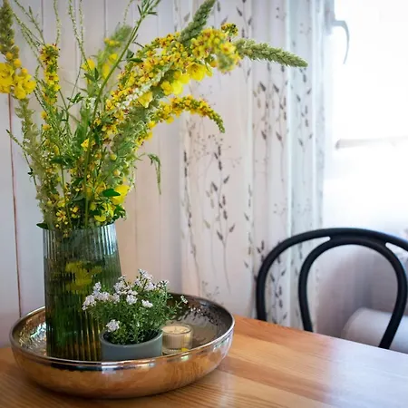 Activfarm Na Kaszubach Piotrus 度假居 *