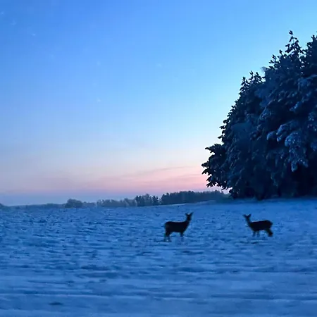 Activfarm Na Kaszubach Piotrus 別荘 *