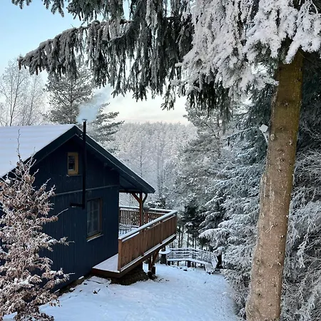 Activfarm Na Kaszubach Piotrus 別荘 Glisno Wielkie