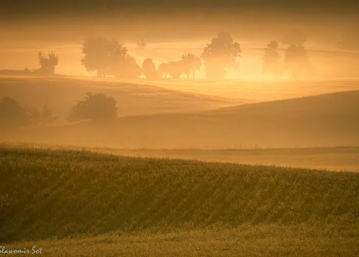 Activfarm Na Kaszubach Piotrus *
