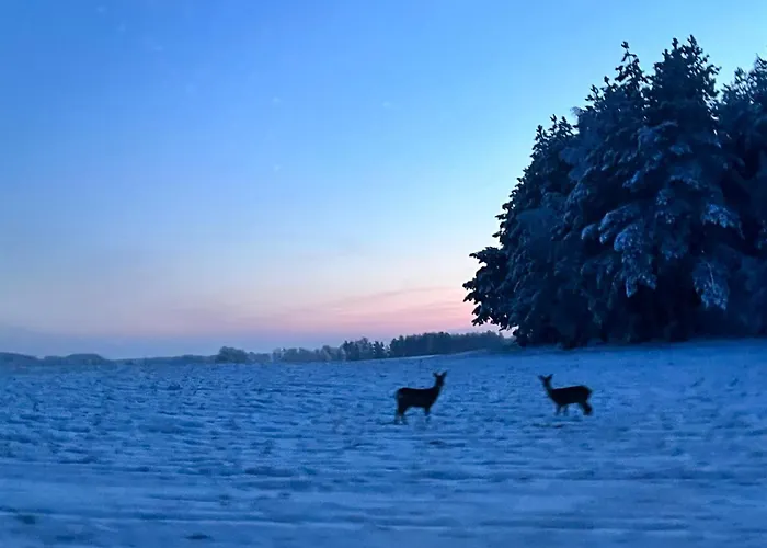 Activfarm Na Kaszubach Piotrus Prázdninový dům *